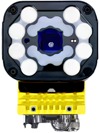 Cognex
